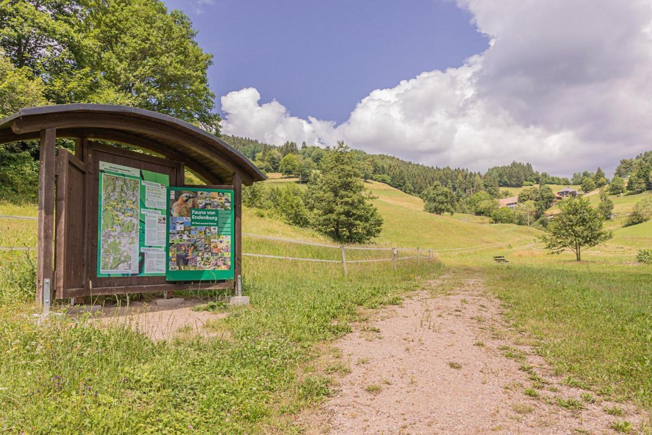 Boutique Wellnesshotel Landmann Steinen  Exteriör bild